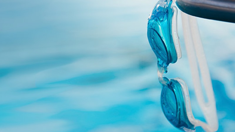 Die Favoriten unserer Schwimmer 2017 Die Favoriten unserer Schwimmer 2017