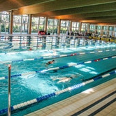 Hallenbad 50m